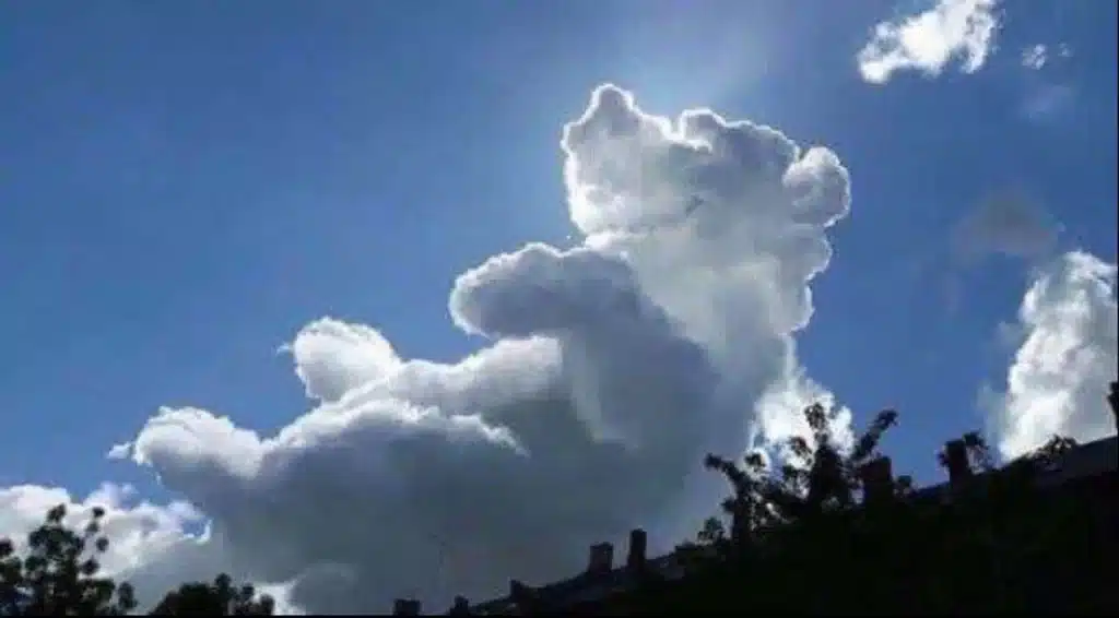 images-animaux-1024x566 Nuages en formes : Dessinez c’est gagné !